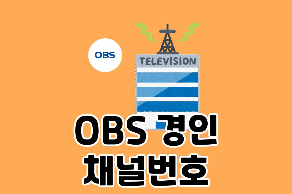 OBS 채널번호 안내 | 지역별 케이블TV 채널번호, IPTV 시청방법